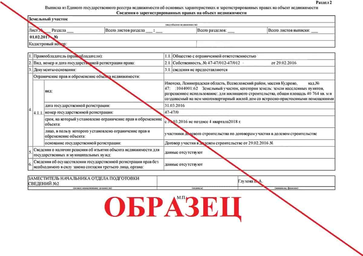 Образец выписки ЕГРН в Воронеже и Воронежской области