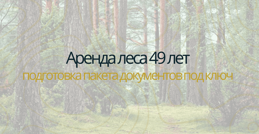 Аренда леса на 49 лет в Воронеже и Воронежской области