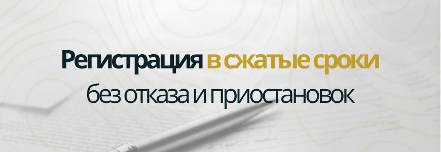 Регистрация в сжатые сроки под ключ в районе Ново-Переделкино
