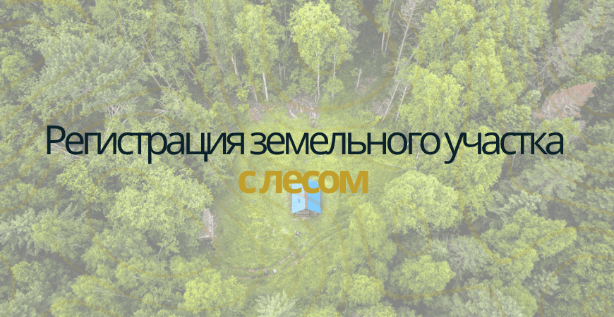 Земельный участок с лесом в Воронеже и Воронежской области